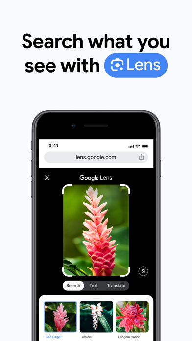 Google Chrome Screenshots