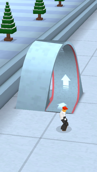 Skater Skate Game Screenshots