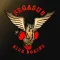 Pegasus Studio
