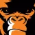 Gorilla Safety