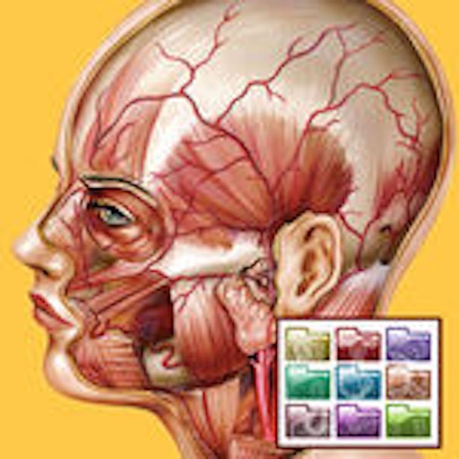 Atlante di Anatomia-Sezioni Atlante di Anatomia-Sezioni