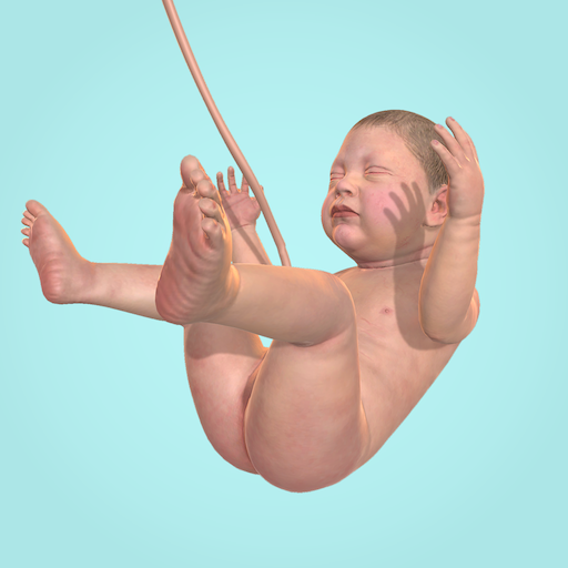 Idle 9 Months Idle 9 Months