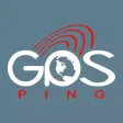 GPS Ping Industry