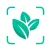 Plant Identifier - Plant