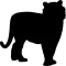 Cats - Quiz