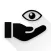 G vision