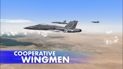 Capturas de pantalla de FA18 HORNET FIGHTER JET