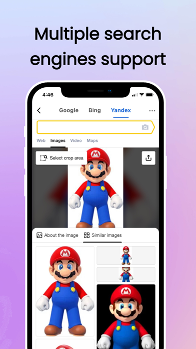 Search By Image: Multi Engines Screenshots