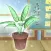 Houseplant 2021