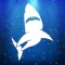 JAWS Converter