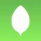 Salad - Randomize your salads