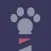 Groomer.io