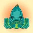Grouper Radio Grouper Radio