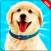 Pet Puppy Adventures Dog Games