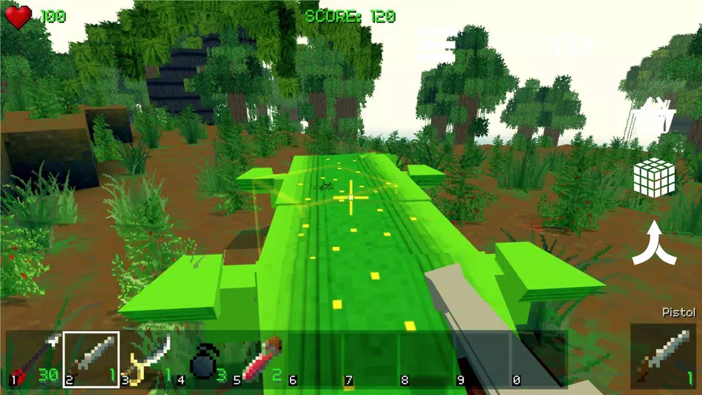 PIRATECRAFT Screenshots