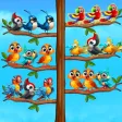 Bird Sort Puzzle Fun Game