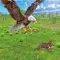 Wild Eagle Sim 3D Eagle Games