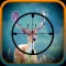 Deer sniper adventures
