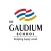 The Gaudium