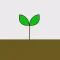 Soil - Soil Samples