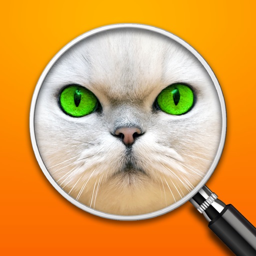 Guess the Pic! ~ Close up Photos Guess the Pic! ~ Close up Photos