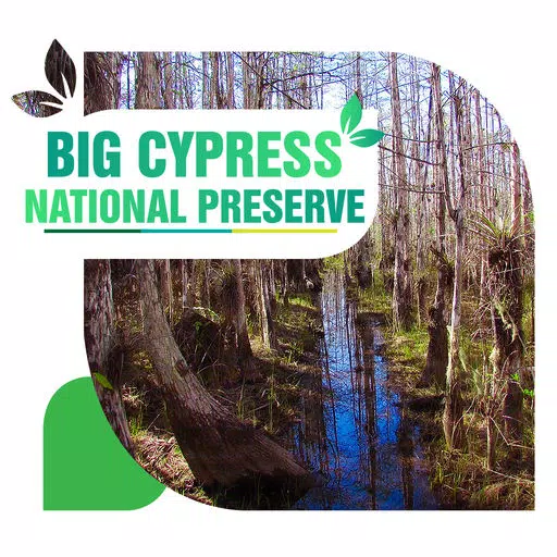 Big Cypress National Preserve Travel Guide Big Cypress National Preserve Travel Guide