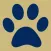 Pitt-Johnstown What’s Next?