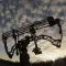 Guide to the Compound Bow