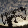 Guide to the Compound Bow Guide to the Compound Bow