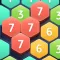 Hexa Puzzledom