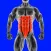 Abs Core Home Fitness Workout