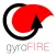 gyroFIRE Tryout - A Google Glass Simulator