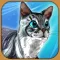 Cat Simulator Pet Kitten Games