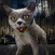 Cat Simulator Scary Pet Game