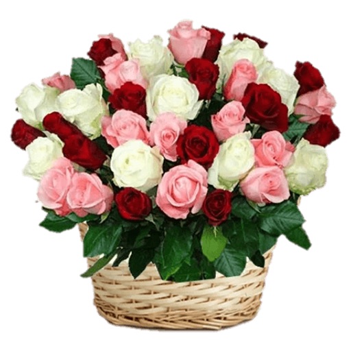 Bouquet Bucket of Flowers HD Bouquet Bucket of Flowers HD
