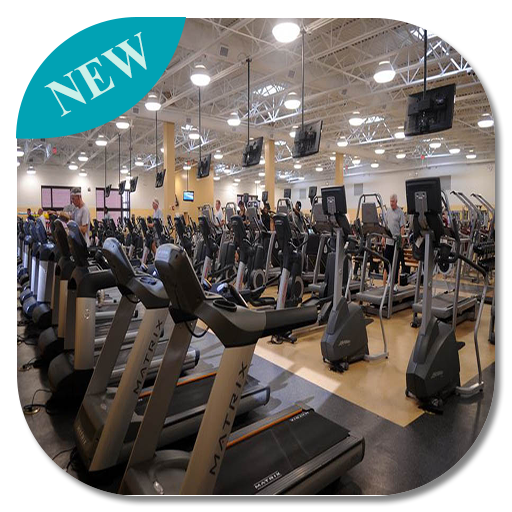 Body Fitness And Exercise Body Fitness And Exercise