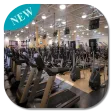 Body Fitness And Exercise