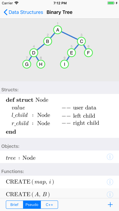 Data Structure Display Screenshots