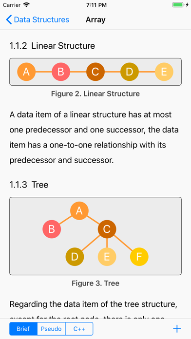 Data Structure Display Screenshots