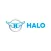 Halo Mobile Detailer