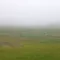 Bog People