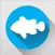 Coral Sea Fish Guide - fishes of the Great Barrier Reef, Papua New Guinea, Solomon Islands, Vanuatu, New Caledonia and beyond