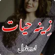 Zeynah-e-Hayat Zeynah-e-Hayat