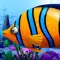 The Hungry Piranha