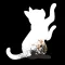 猫咪模拟器-迷失的流浪猫咪