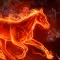 Midnight horse run