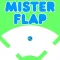 Mr Flap - Totally impossible game!
