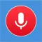 Platinum voice recorder