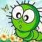 Learn Insect