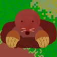 Grassolophy